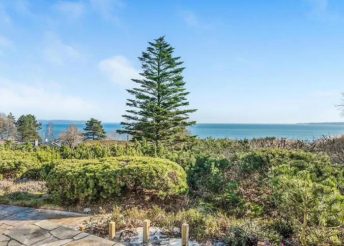 Semesterbostad Pet Friendly In With Sauna